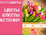 Магазин Простоцветы на улице Хлобыстова  на сайте Vyhino-julebino.ru