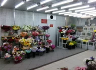 Магазин цветов Мосцветок на улице Генерала Кузнецова Фото 13 на сайте Vyhino-julebino.ru