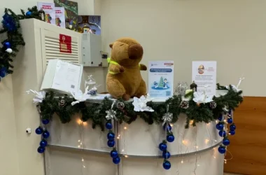 Центр речи ЛогоЙель Фото 2 на сайте Vyhino-julebino.ru