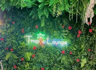 Кальянная Tropic Lounge Фото 2 на сайте Vyhino-julebino.ru