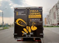 Транспортная компания Пчела-сервис Фото 3 на сайте Vyhino-julebino.ru